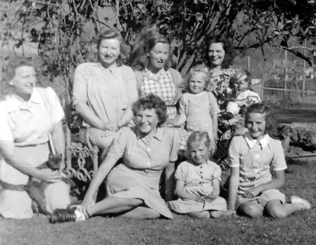 dartbridge groups 0002